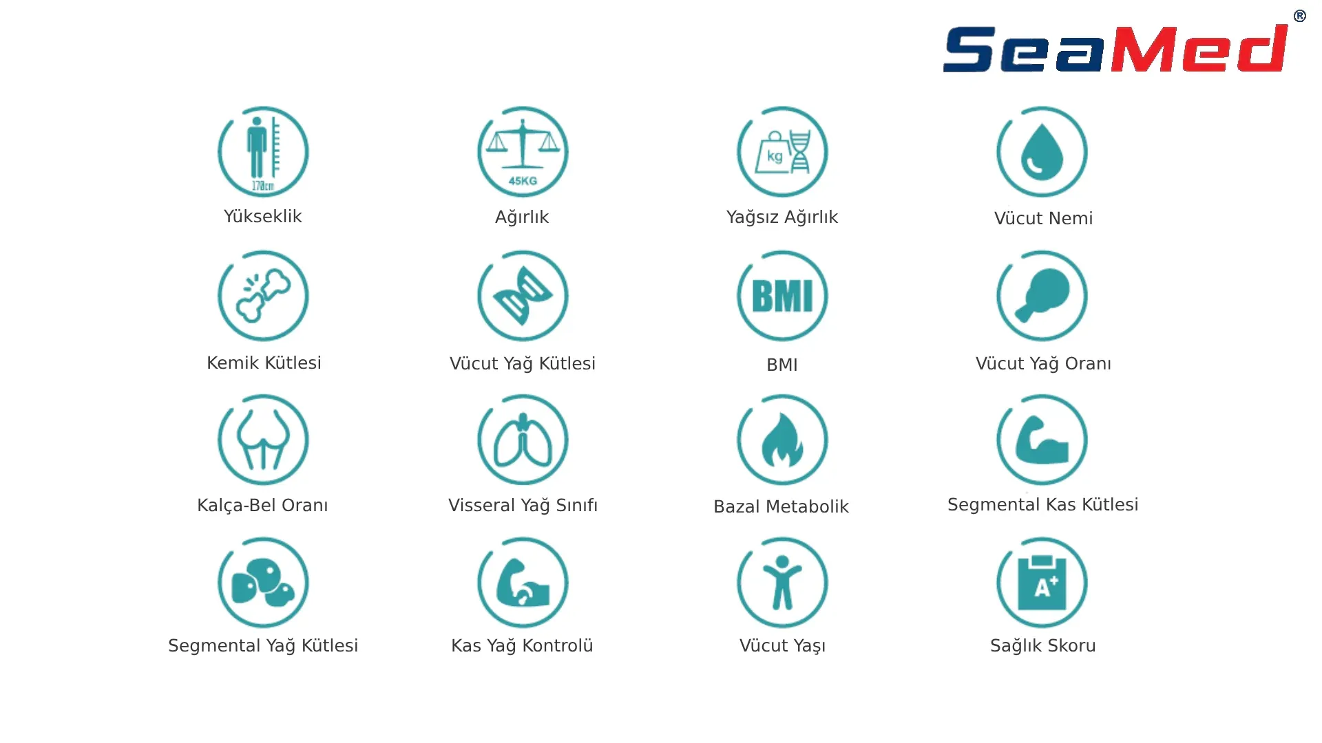 SEAMED BODY ANALYSIS DEVICE 4