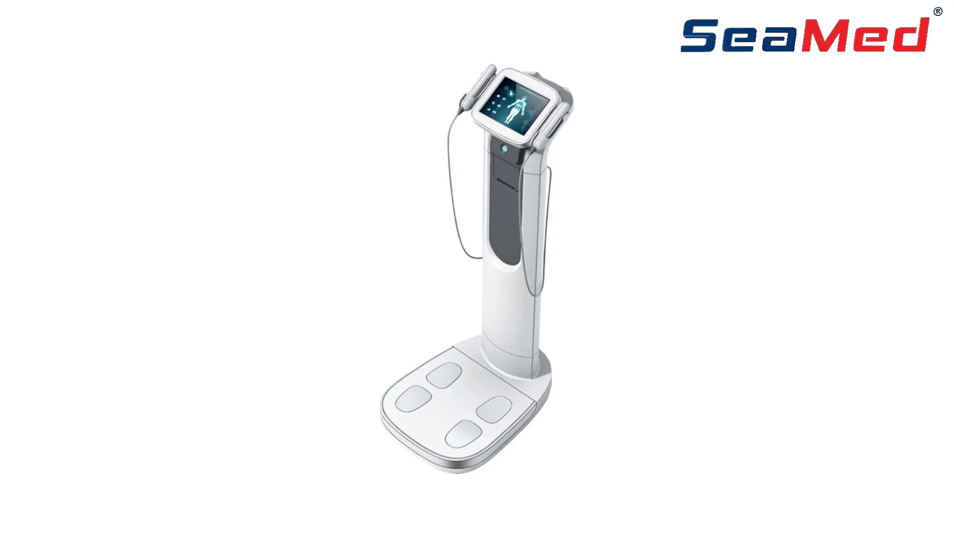 SEAMED BODY ANALYSIS DEVICE 1