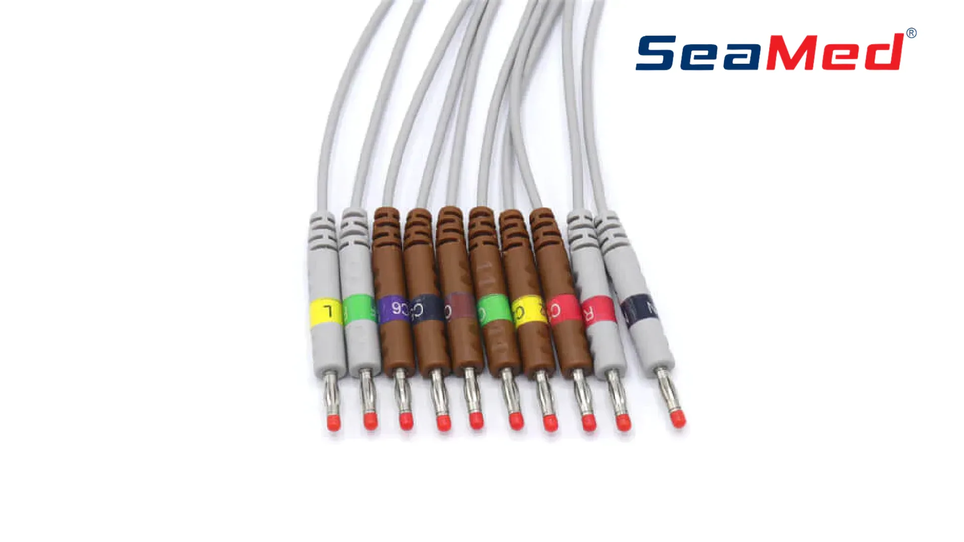 KENZ UYUMLU 10 LEAD BANANA  EKG KABLOSU 3