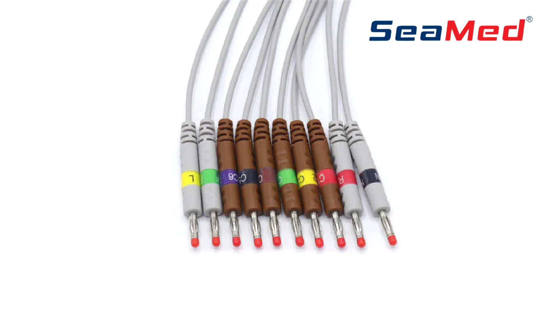 PHILIPS UYUMLU 10 LEAD BANANA EKG KABLOSU 3