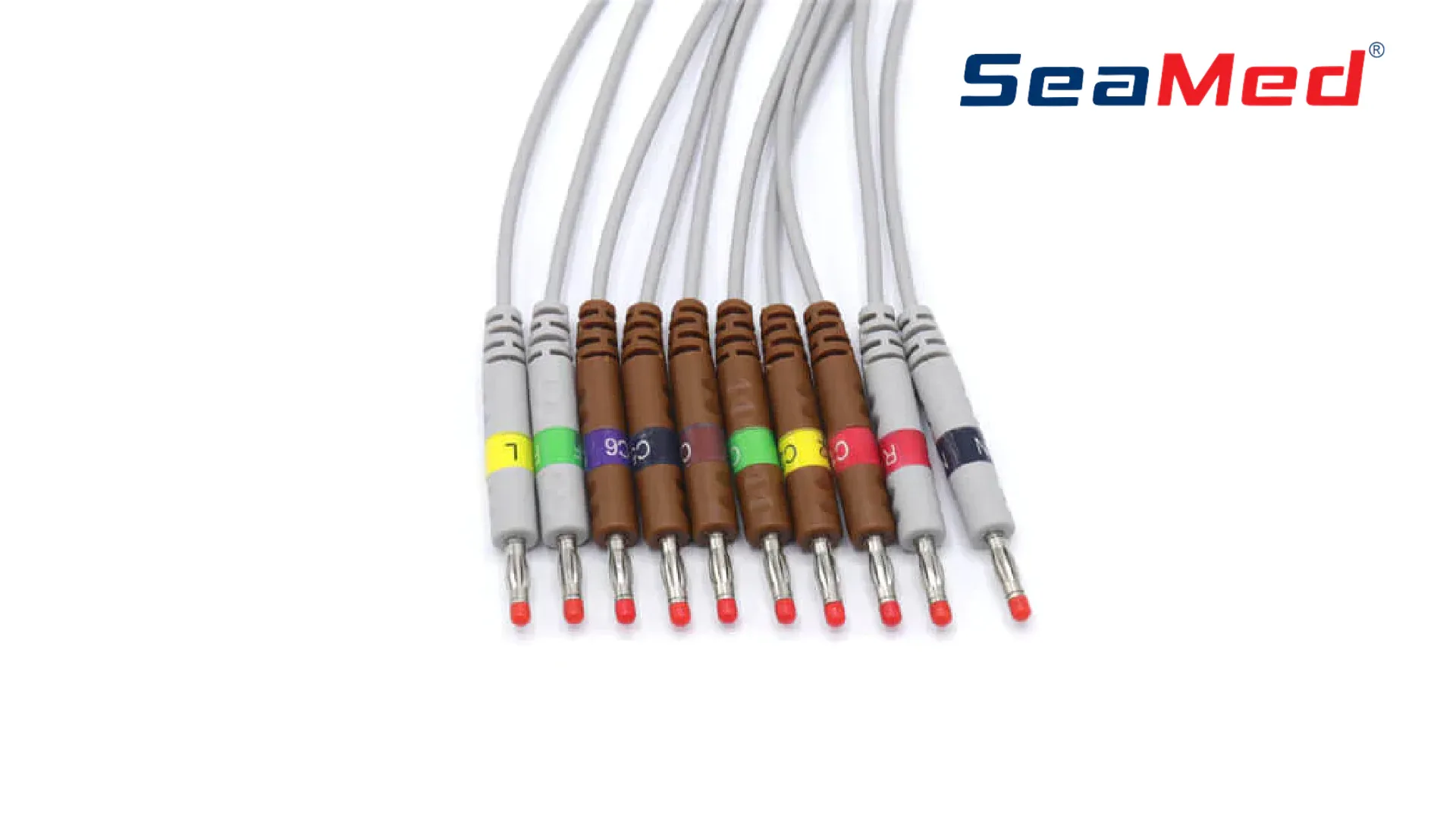 SCHILLER UYUMLU 10 LEAD BANANA EKG KABLOSU 3