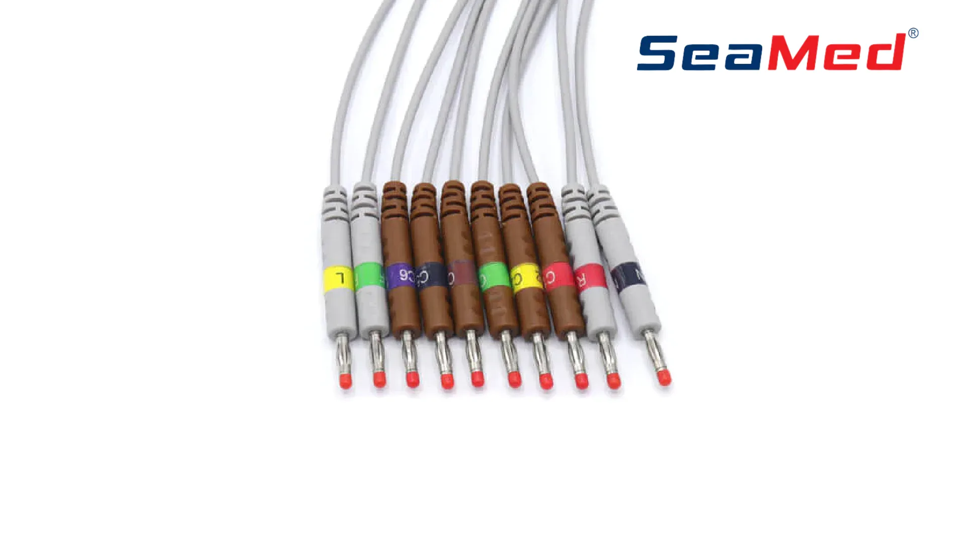 MINDRAY COMPATIBLE 10 LEAD BANANA ECG CABLE 3